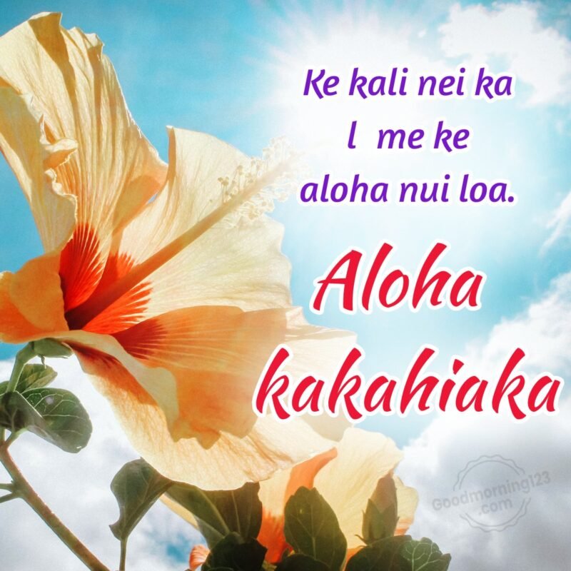 80+ Good Morning Wishes Images In Hawaiian With English Translation ...