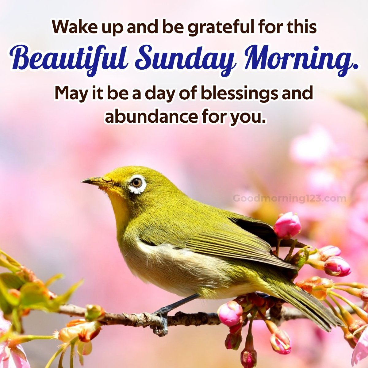 Good Morning Sunday Images, Wishes, Greetings & GIFs
