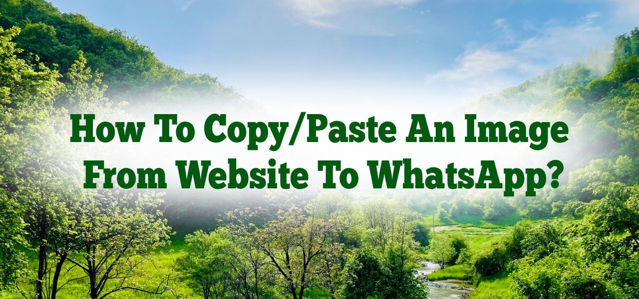 How To Copy, Paste An Image From Website To Whatsapp