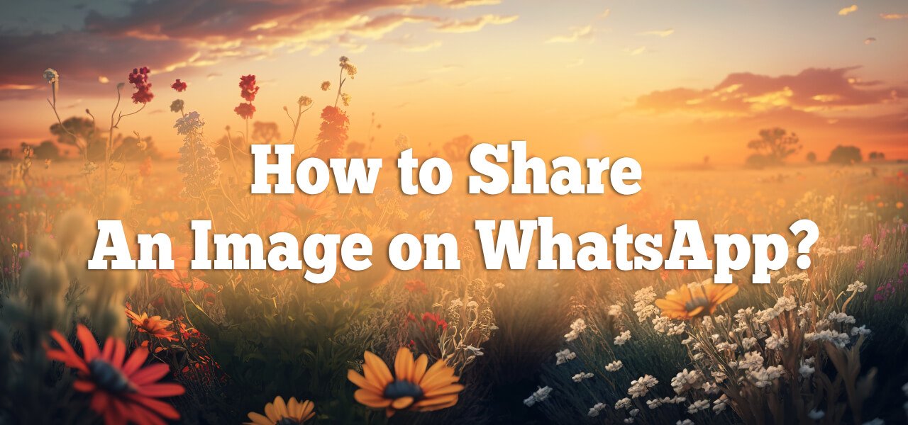 How To Share An Image On Whatsapp