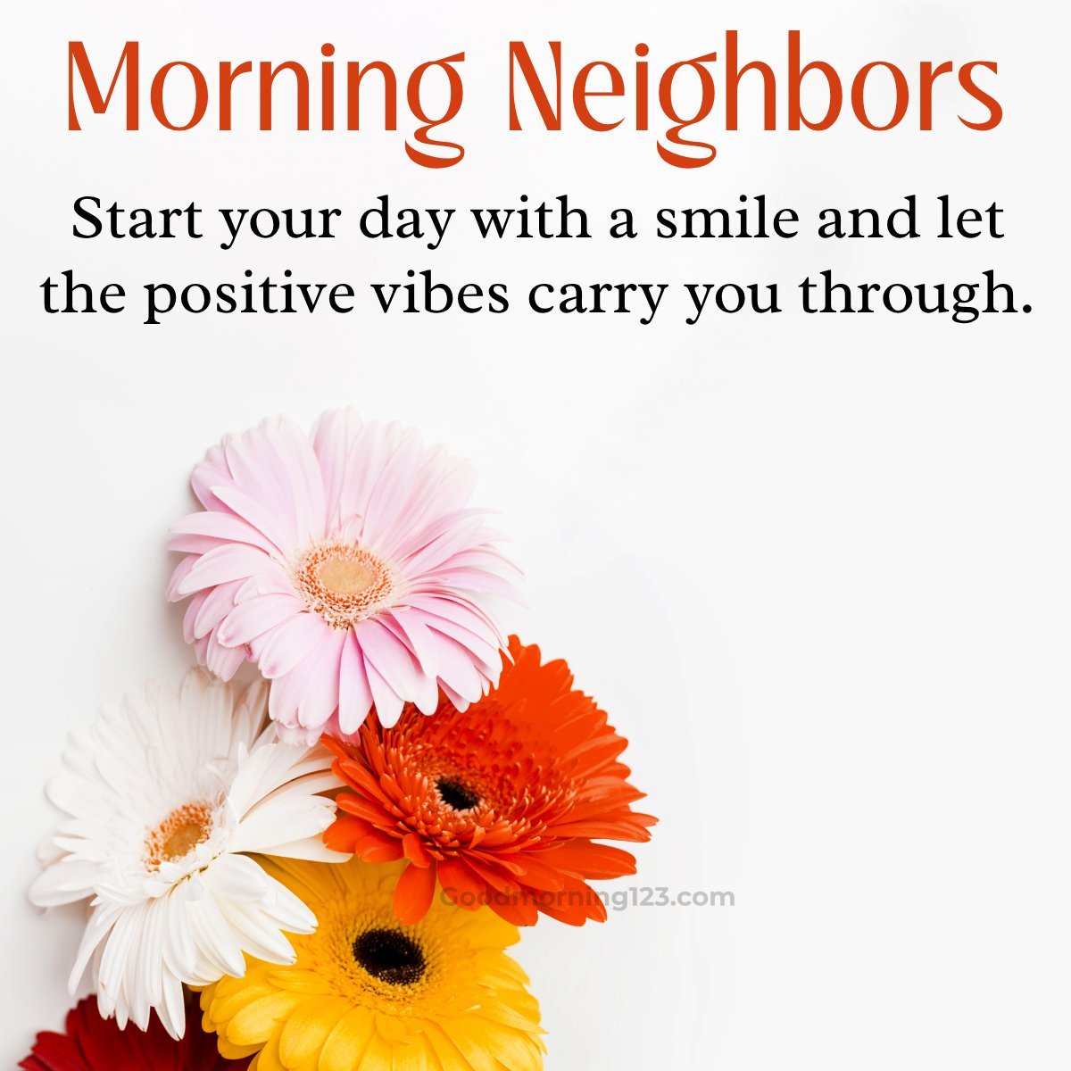 Good Morning, Neighbor! Start Your Day With A Smile