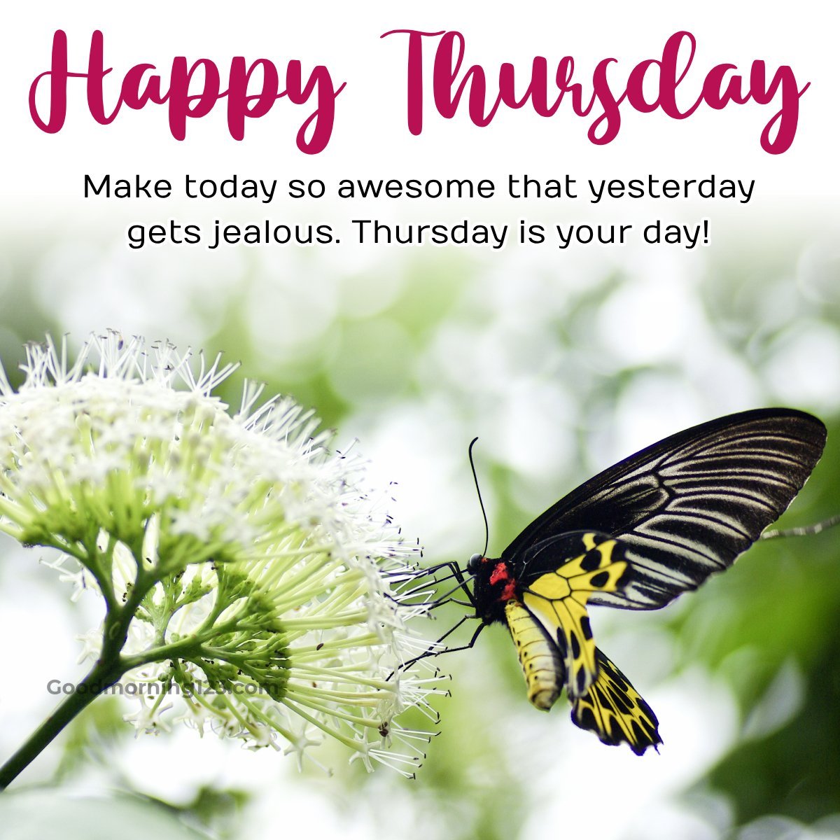 Happy Thursday Make Today So Awesome That Yesterday Gets