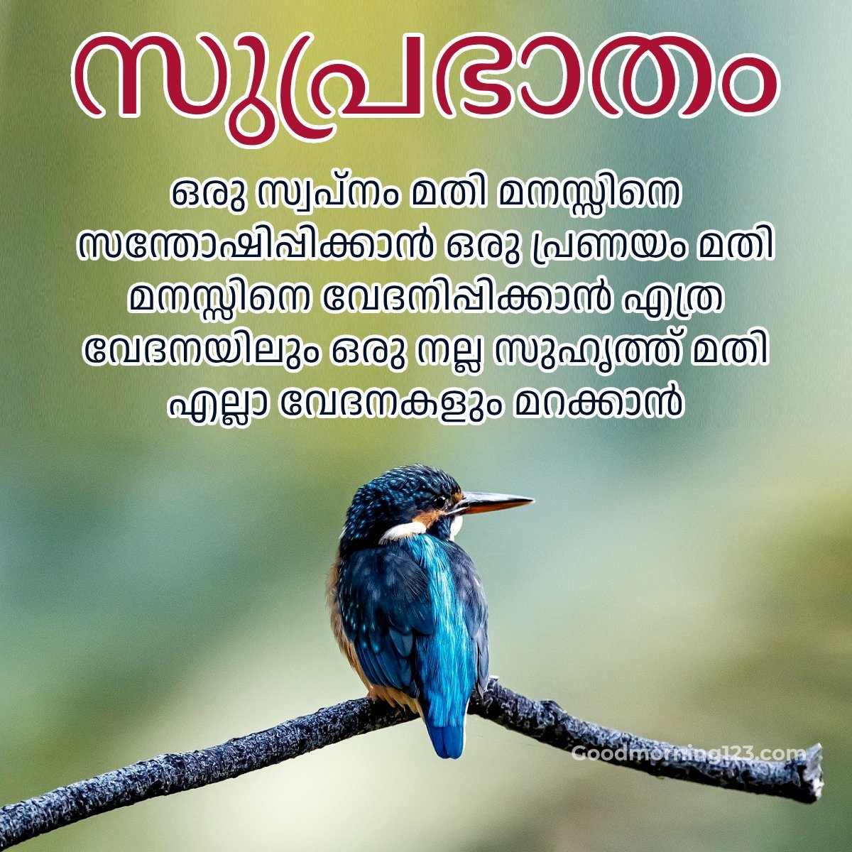 Good Morning Malayalam Images, Wishes & Greetings