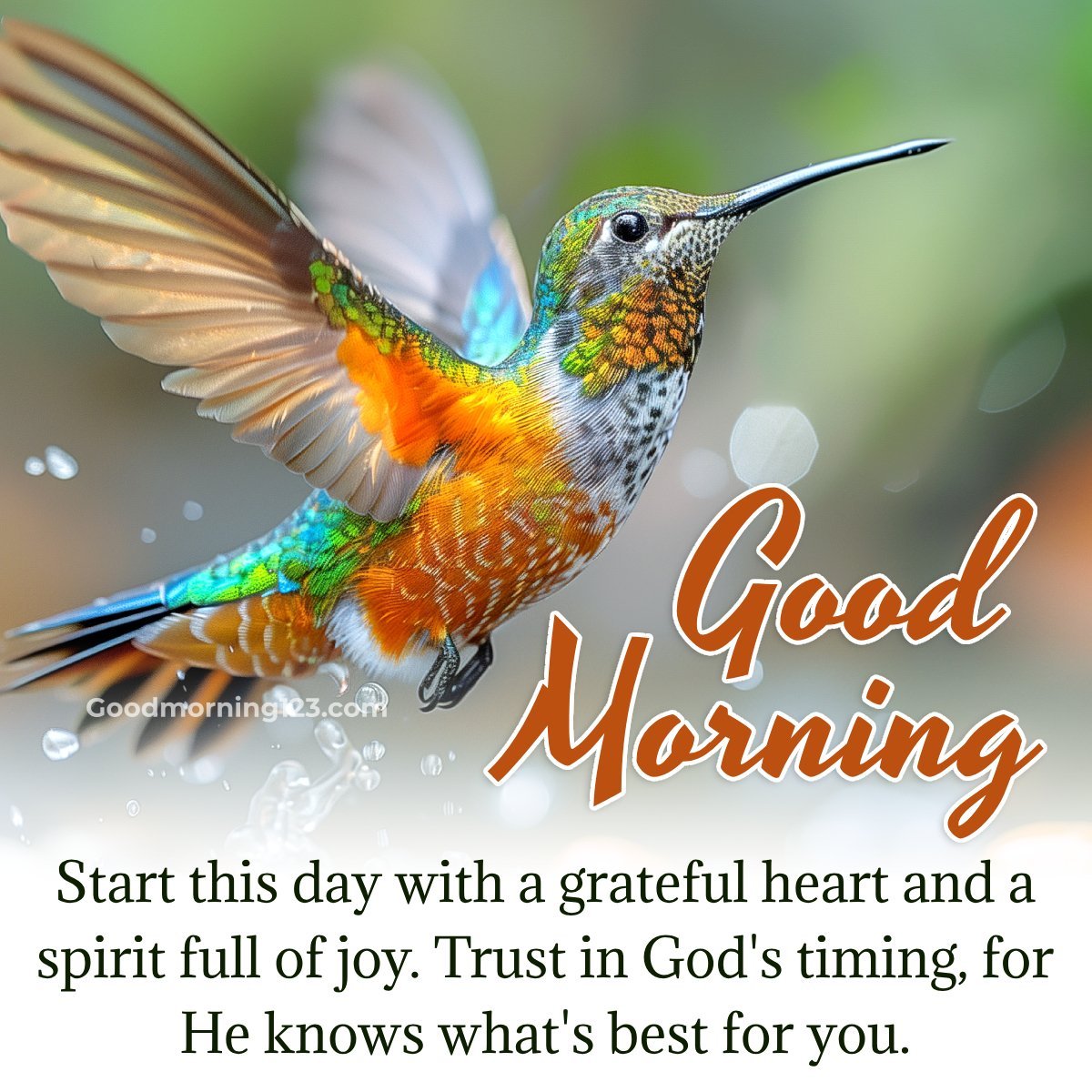 Start This Day With A Grateful Heart And A Spirit Full Of Joy