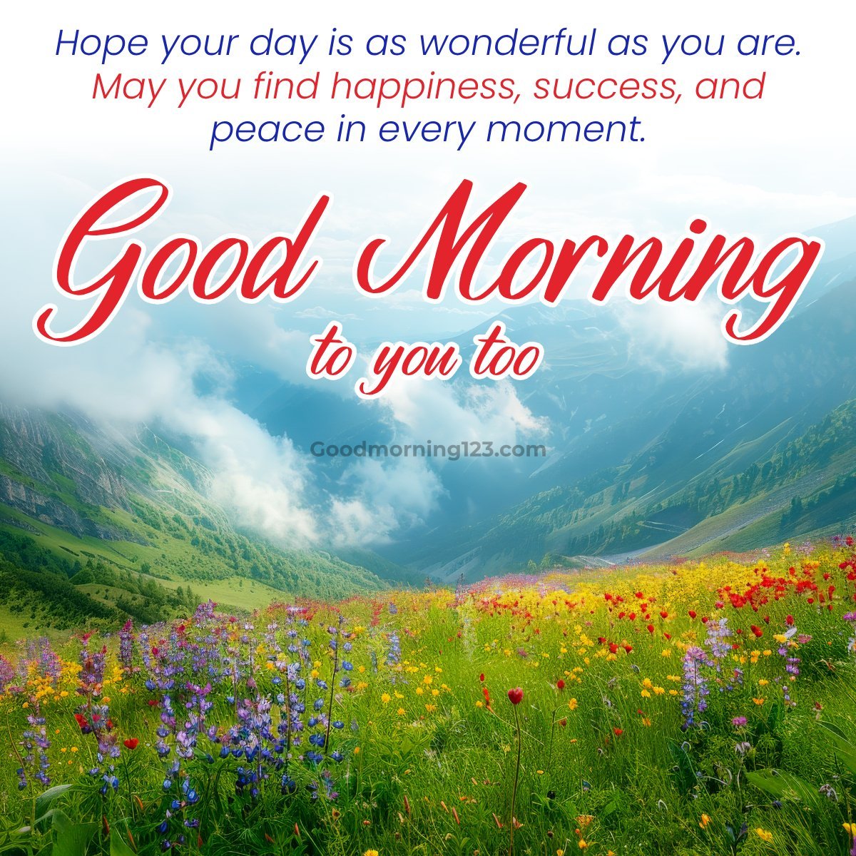 Good Morning You Too Message Image