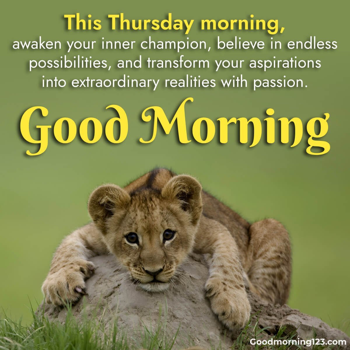 150+ Good Morning Thursday Blessings Images, Quotes, Bible Verses And Gifs